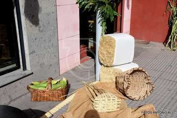 El Roque Azucarero celebra el Día de Canarias (Foto Antonio Alí)